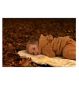 Naturally Sheepskins Merino Sheepskin Footmuff Charcoal Grey, imported from the UK