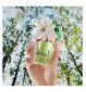 Marc Jacobs Daisy Wild Eau de Parfum 30ml, imported from the UK