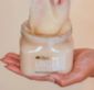 Tree Hut - Shea Sugar Scrub - Vanilla 510g