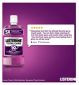 Listerine Family Bundle Two Mouthwash Bottles Duo Set, UK version