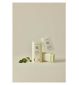 Beauty of Joseon sun stick mugwort camilia - British product