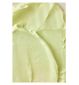 Beauty of Joseon sun stick mugwort camilia - British product
