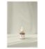 Beauty of Joseon Revive Serum Ginseng Snail Mucin 30ml - British product