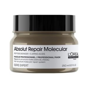 L'Oreal Serie Expert Absolut Repair Hair Mask 250ml, UK version