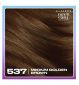 Clairol Nice n Easy hair dye medium golden brown - British product