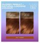 Clairol Tone+Gloss hair dye Amber 645/92 - British product