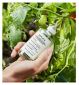 Maison Margiela From The Garden fragrance 100ml (British brand)