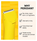 Meridian Signature Ceramic Replacement Blade imported from the UK