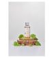 Mixsoon Soondy Essence Centella Asiatica 100ml, imported from the UK