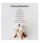 Aveda Cherry Almond Leave-In Conditioner 200ml - British product