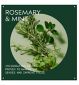 Aveda Rosemary Mint Weightless Conditioner 250ml - British product