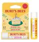 Burt's Bees Birthday Cake Lip Balm 4.25g - British product