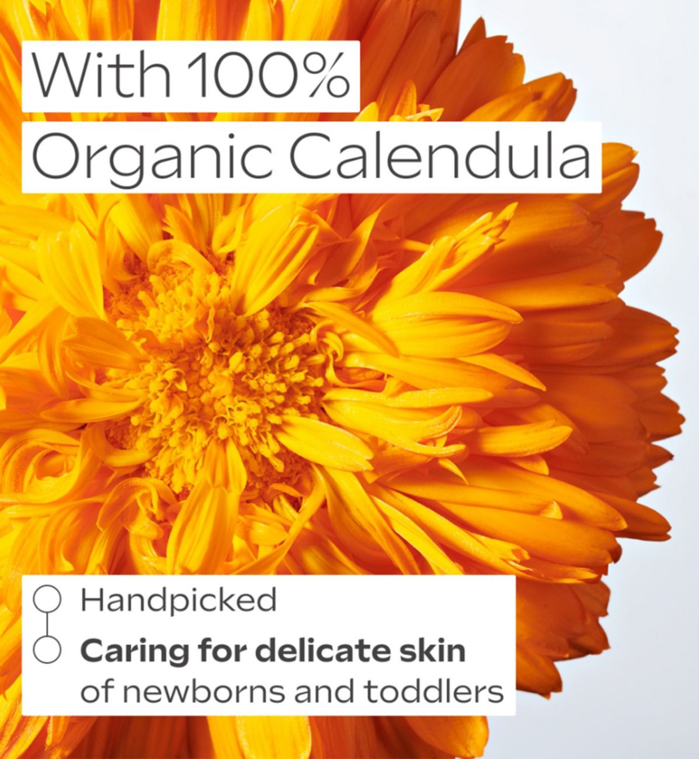 Weleda Calendula Shampoo and Body Wash 400ml (British brand)