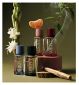 Arkive hair and skin fragrance collection 4 x 10ml - British product