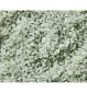 ESPA Aromatic Fitness Bath Salts 200g - British product
