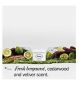Fussy Deodorant Refill Wilderness 40g - British product