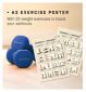 KG Physio 5kg Dumbbells Pair Navy Blue, UK version