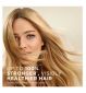 Pantene Repair Protect Hair Bundle Shampoo Conditioner Oil, imported from the UK