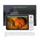 LeapFrog Video Baby Monitor White 7 Inch, UK version