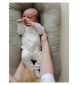 Snuggle Me Organic Infant Lounger Birch (British brand)