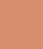 Carolina Herrera matte bronzer refill 8g - British product