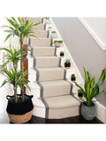 The Little Botanical Dracaena big grey ceramic pot indoor plant (British brand)