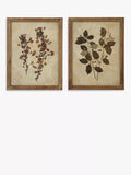 One.World Leaf Wood Framed Print, Set of 2, 53.8 x 42cm, Brown/Multi - McGrocer