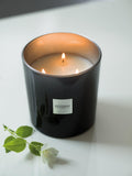 Esteban Ambre scented candle 450g - British product
