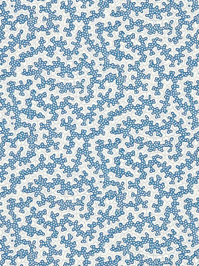 Sanderson Truffle Wallpaper Archive Design Pattern Collection