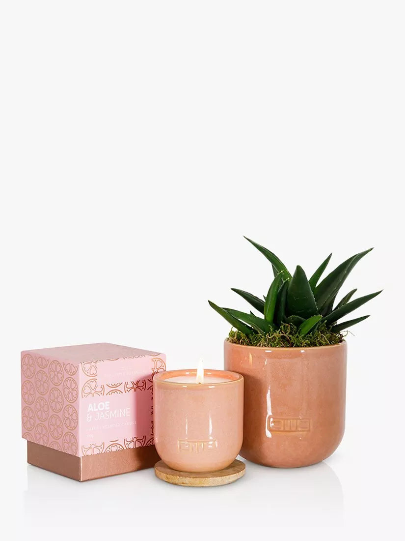 The Little Botanical Pink Cashmere Candle Gift Set, imported from the UK