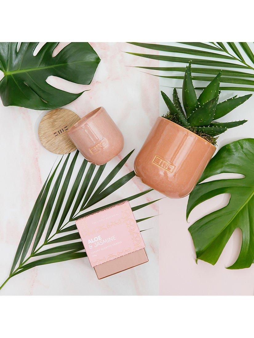 The Little Botanical Pink Cashmere Candle Gift Set, imported from the UK