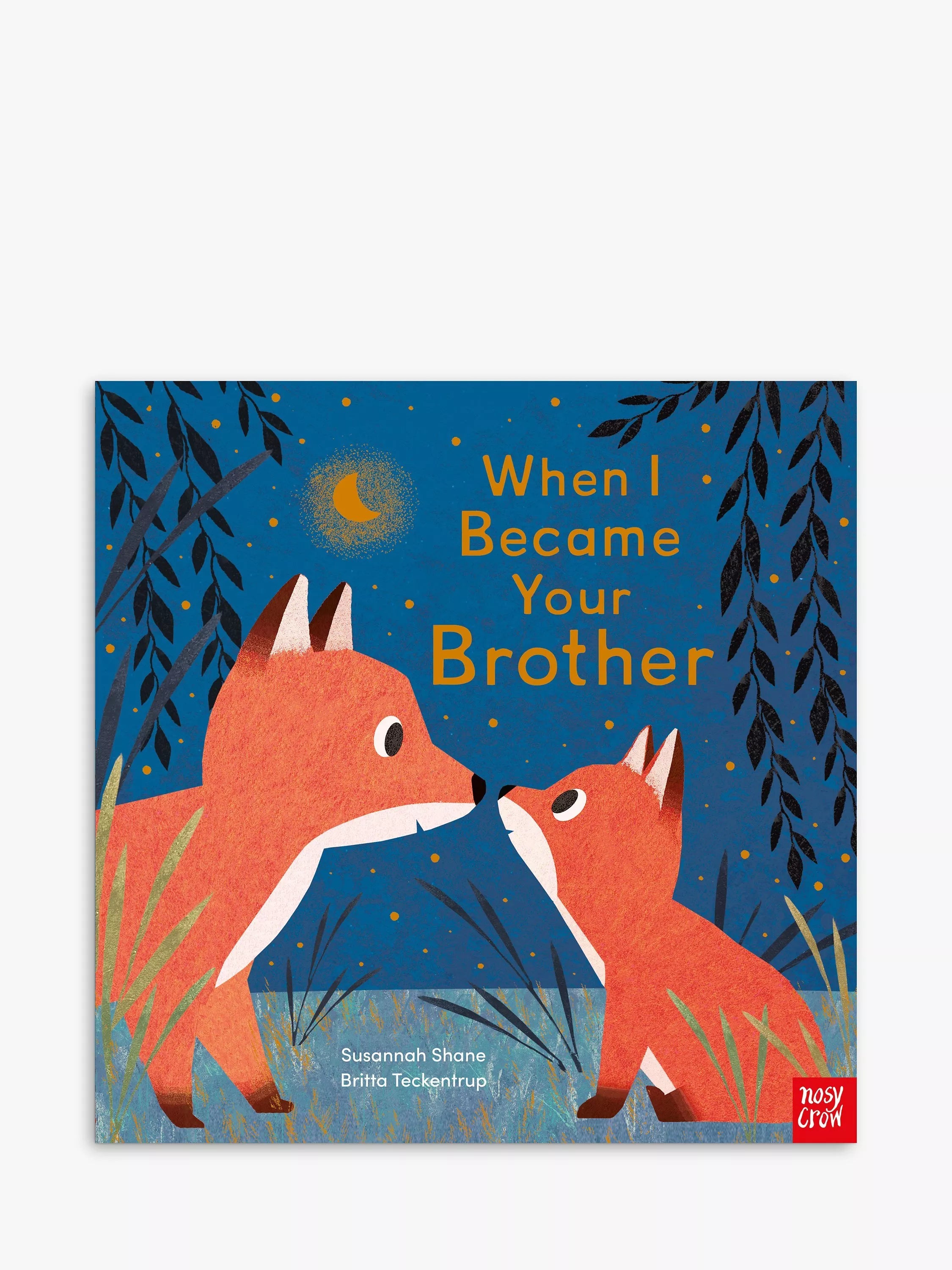 Kids' picture book about brotherly love with gold foil pages (British brand)