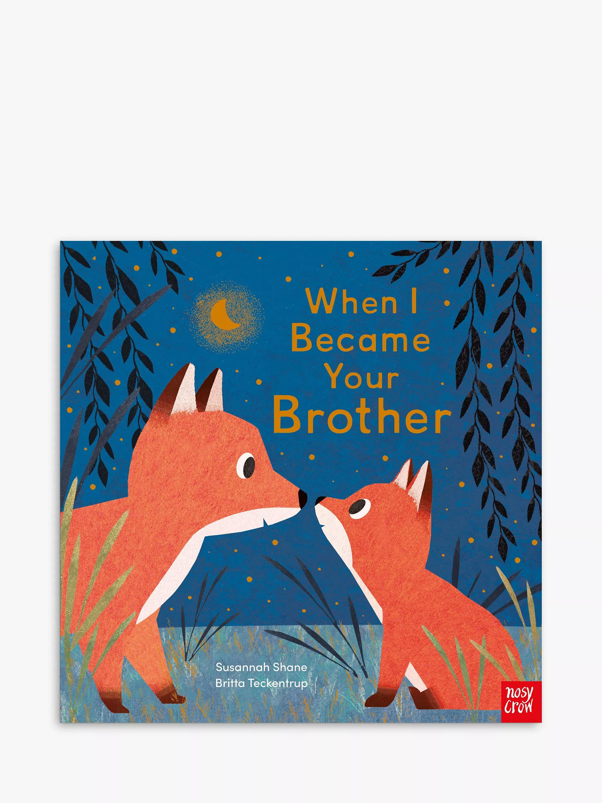Kids' picture book about brotherly love with gold foil pages (British brand)