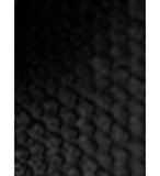 Cybex COYA Compact Pushchair - McGrocer