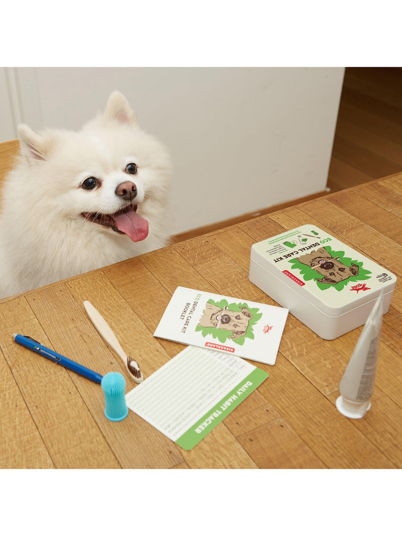 Kikkerland Kobe Dog Dental Care Kit including accessories, UK version