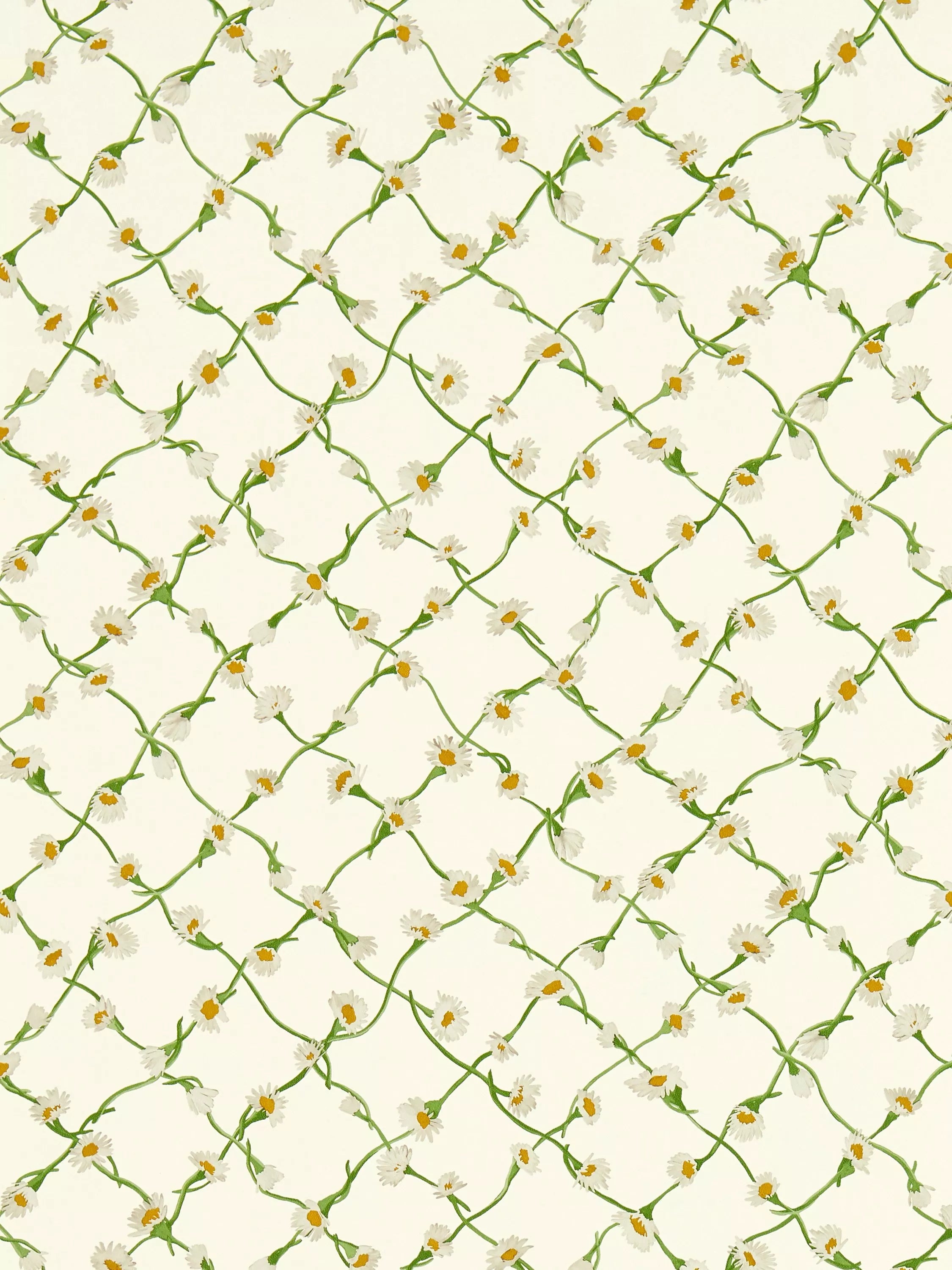 Harlequin x Sophie Robinson Daisy Trellis Wallpaper, UK version