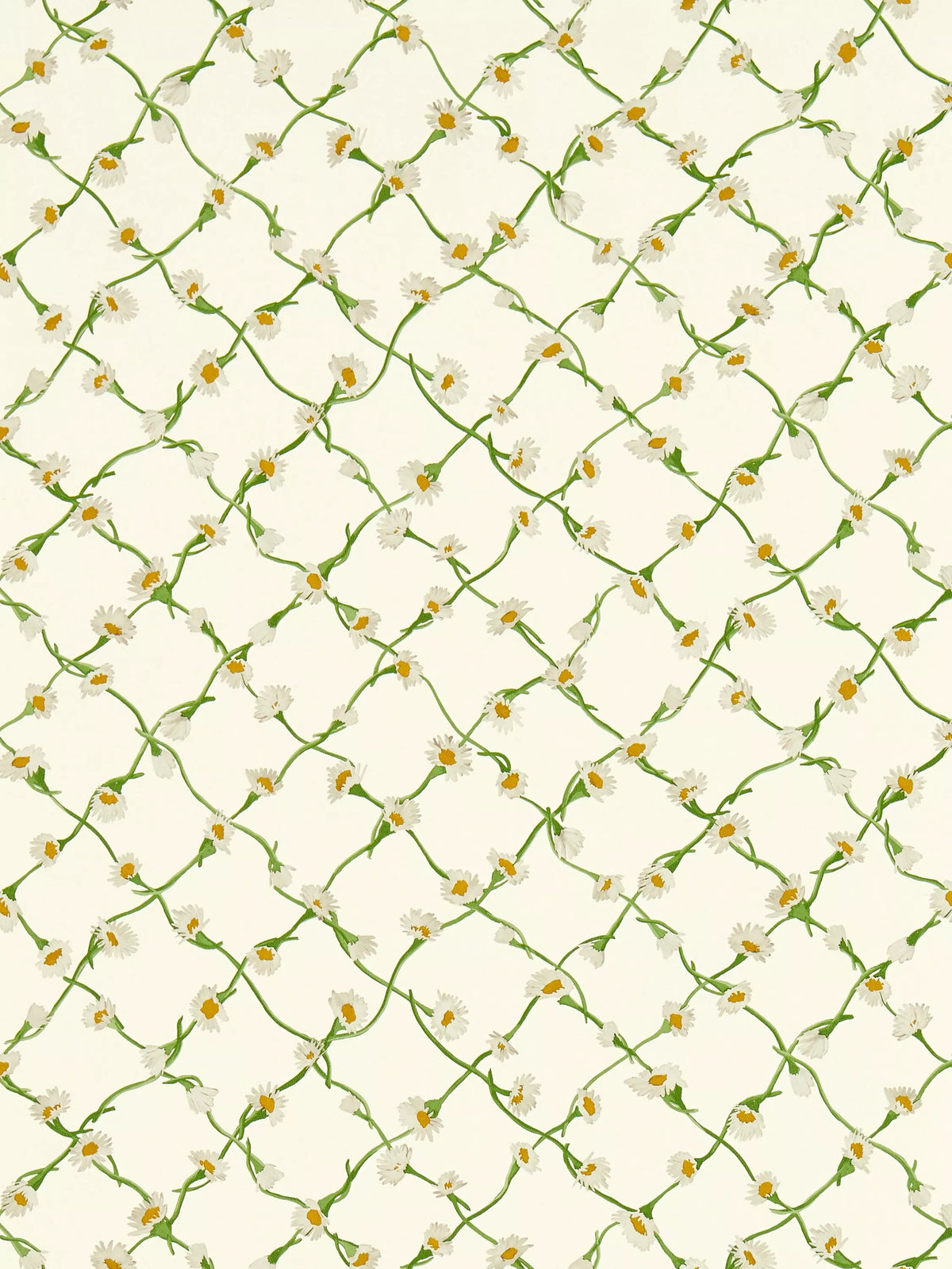 Harlequin x Sophie Robinson Daisy Trellis Wallpaper, UK version