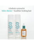 Briogeo Destined for Density Caffeine and Biotin Shampoo 236ml - British product