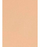 Rodial Glass Tint Tinted Moisturiser