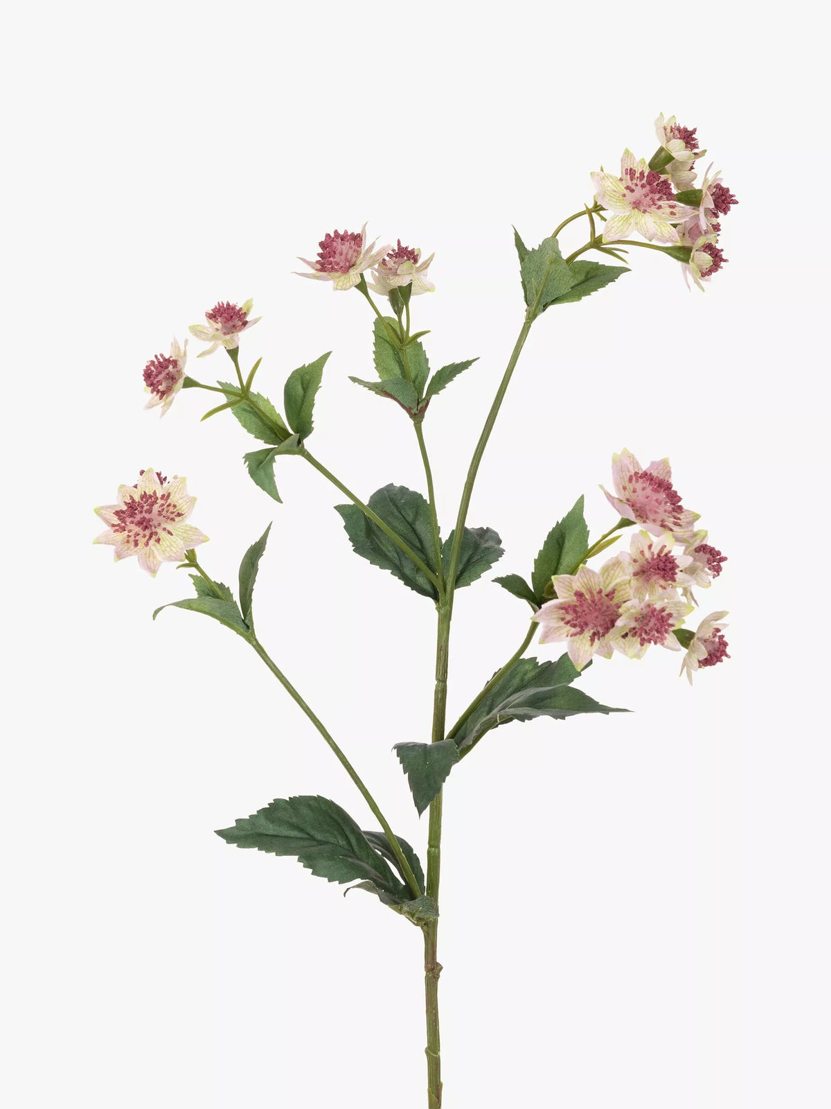 Floralsilk artificial astrantia spray pink/green - British product