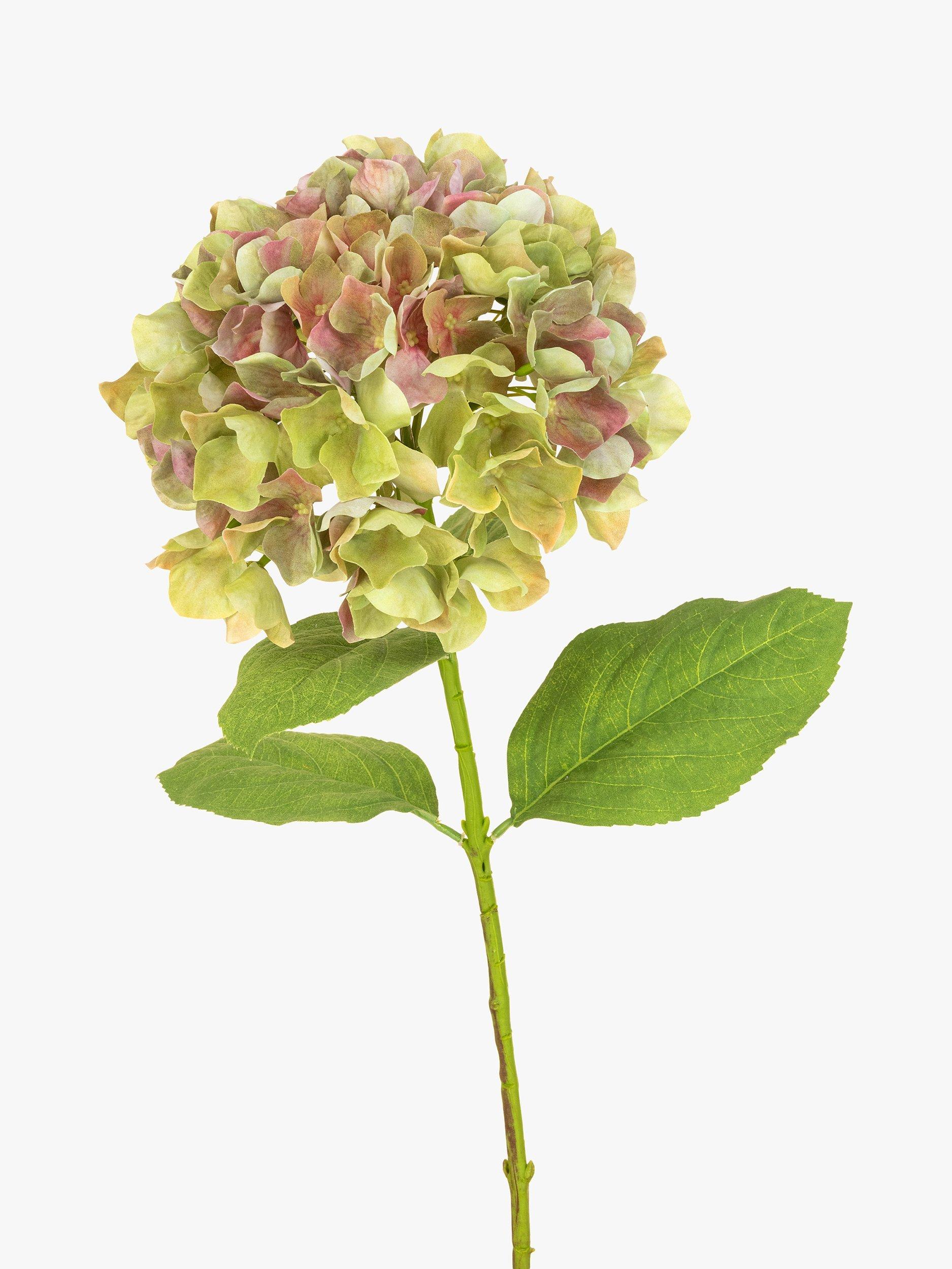 Floralsilk artificial french hydrangea green - British product