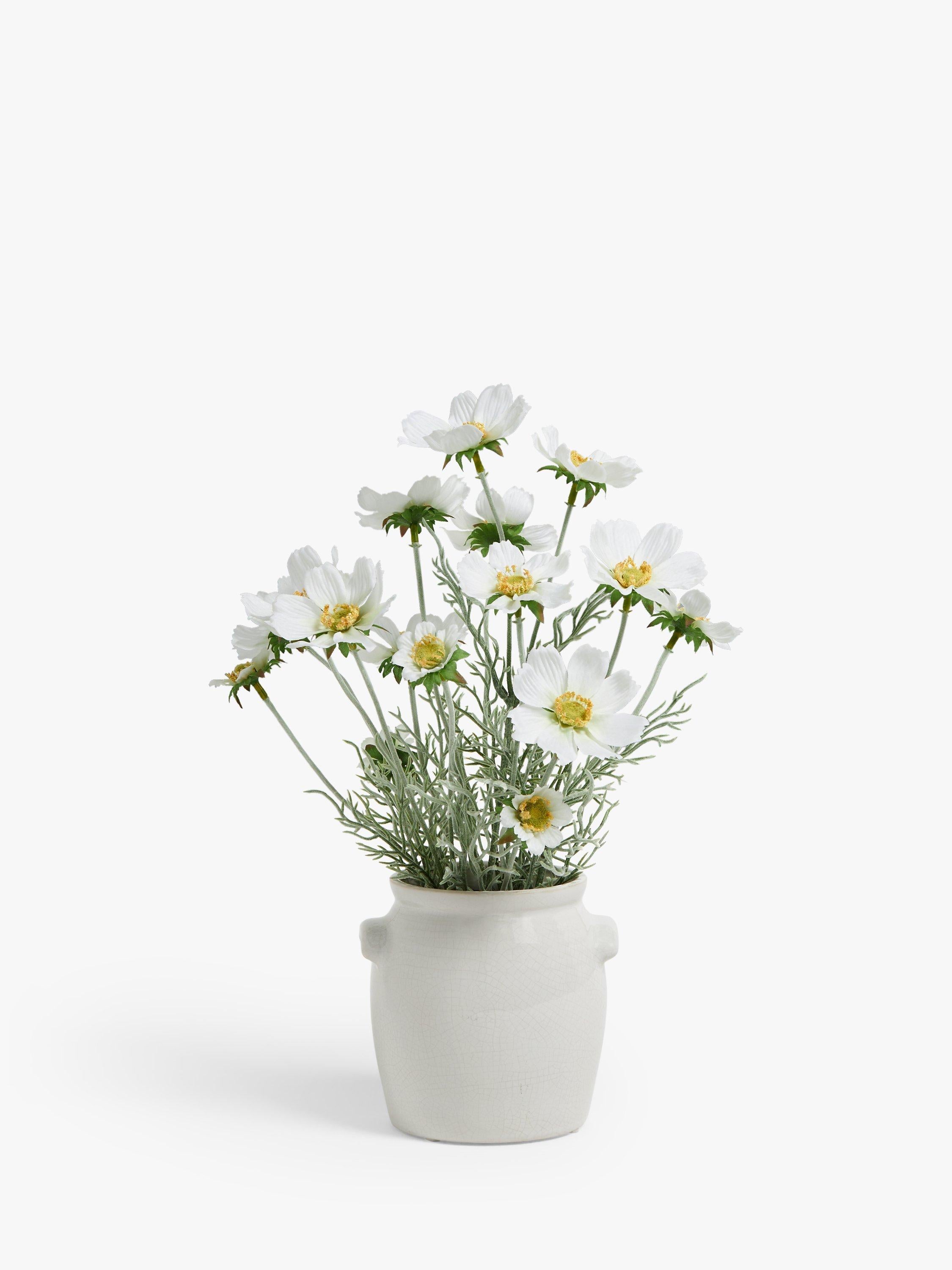 John Lewis artificial cosmos white green ceramic pot, UK version