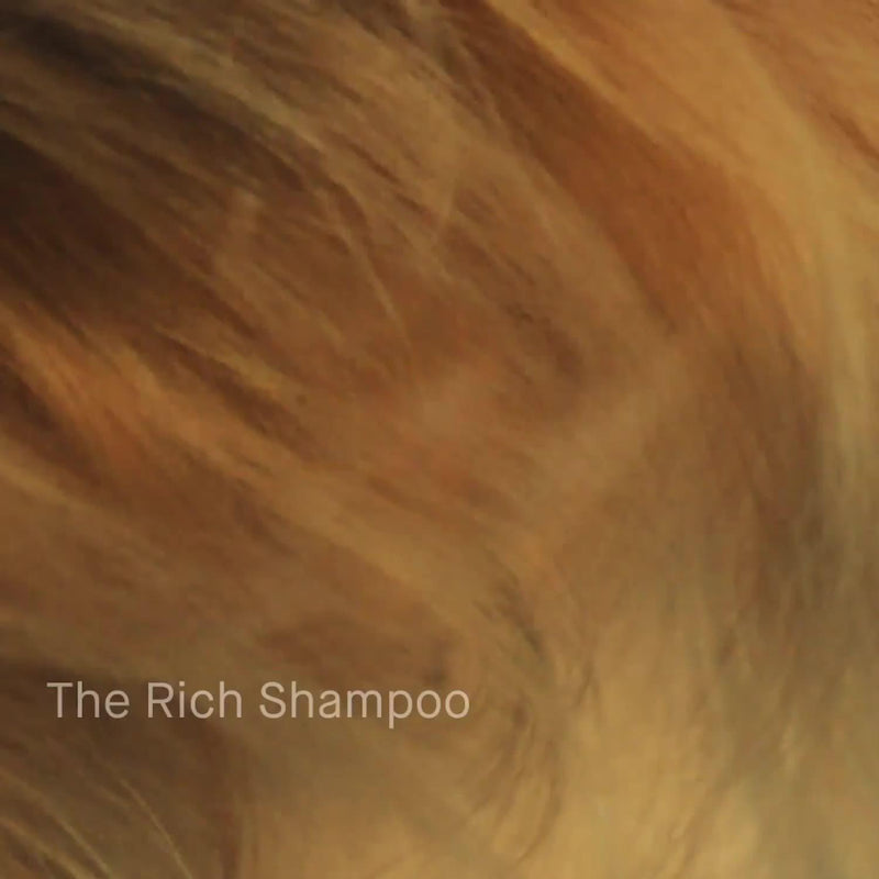 Augustinus Bader The Rich Shampoo 200ml - British product