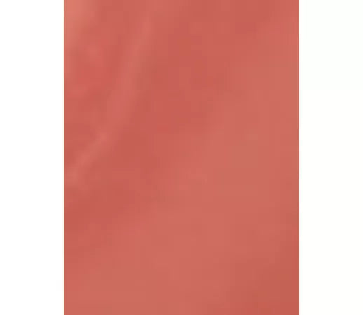 Charlotte Tilbury Pillow Talk Big Lip Plumpgasm