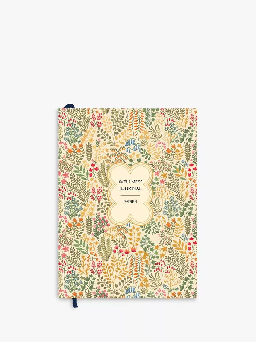 Papier Fairy Flies wellness journal with undated pages, imported from the UK