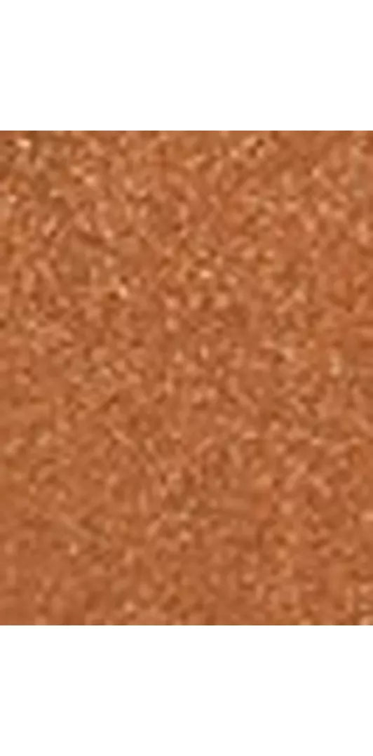 Charlotte Tilbury Hollywood Flawless Filter Mini