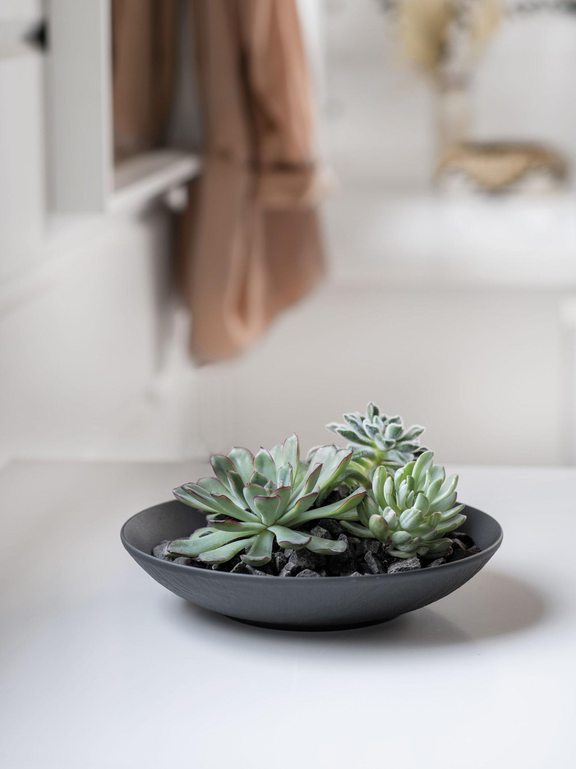 Villeroy & Boch porcelain flat bowl set of 2, 23.5cm (British brand)
