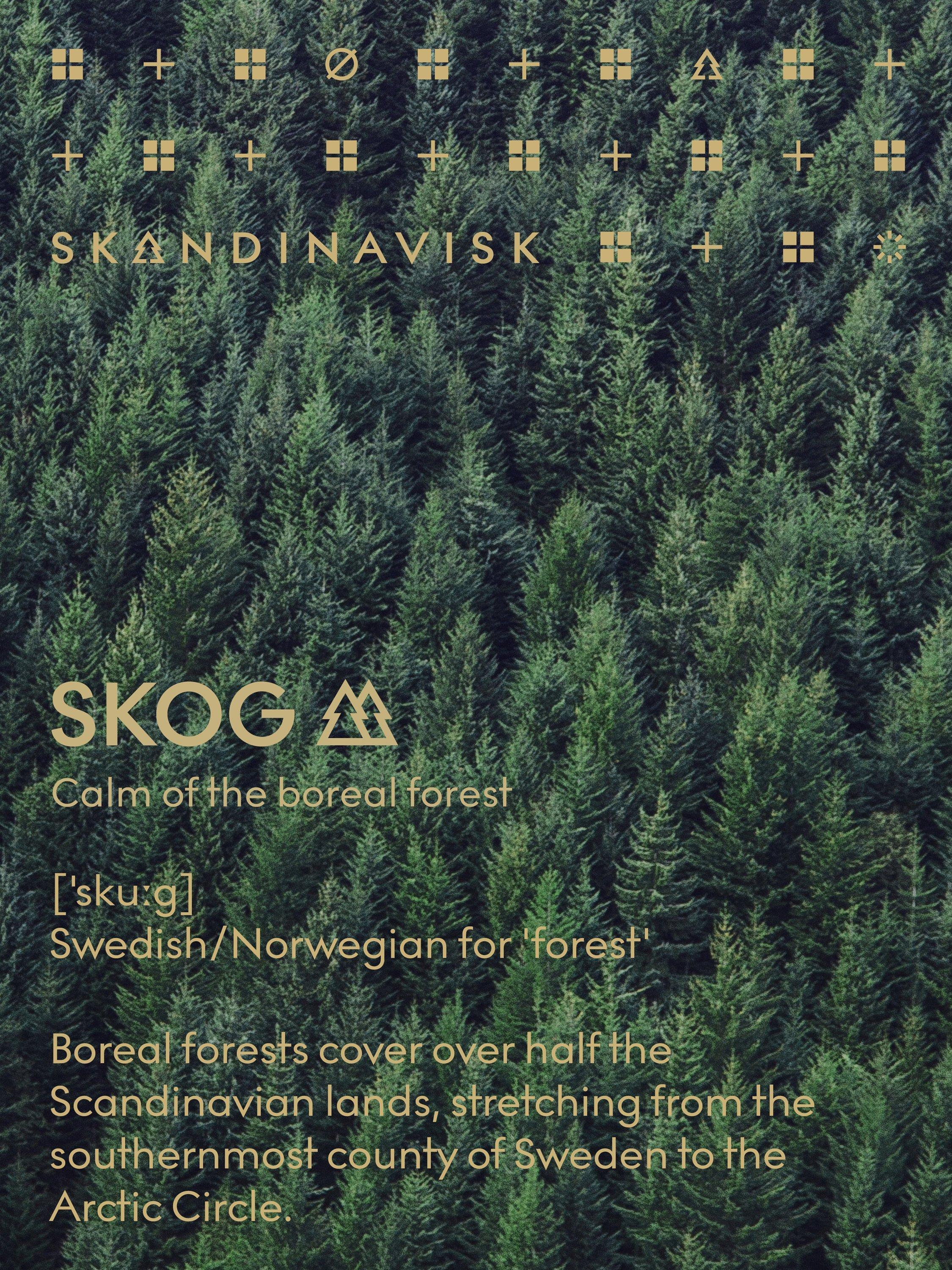 SKANDINAVISK Skog hand and body lotion 200ml (British brand)