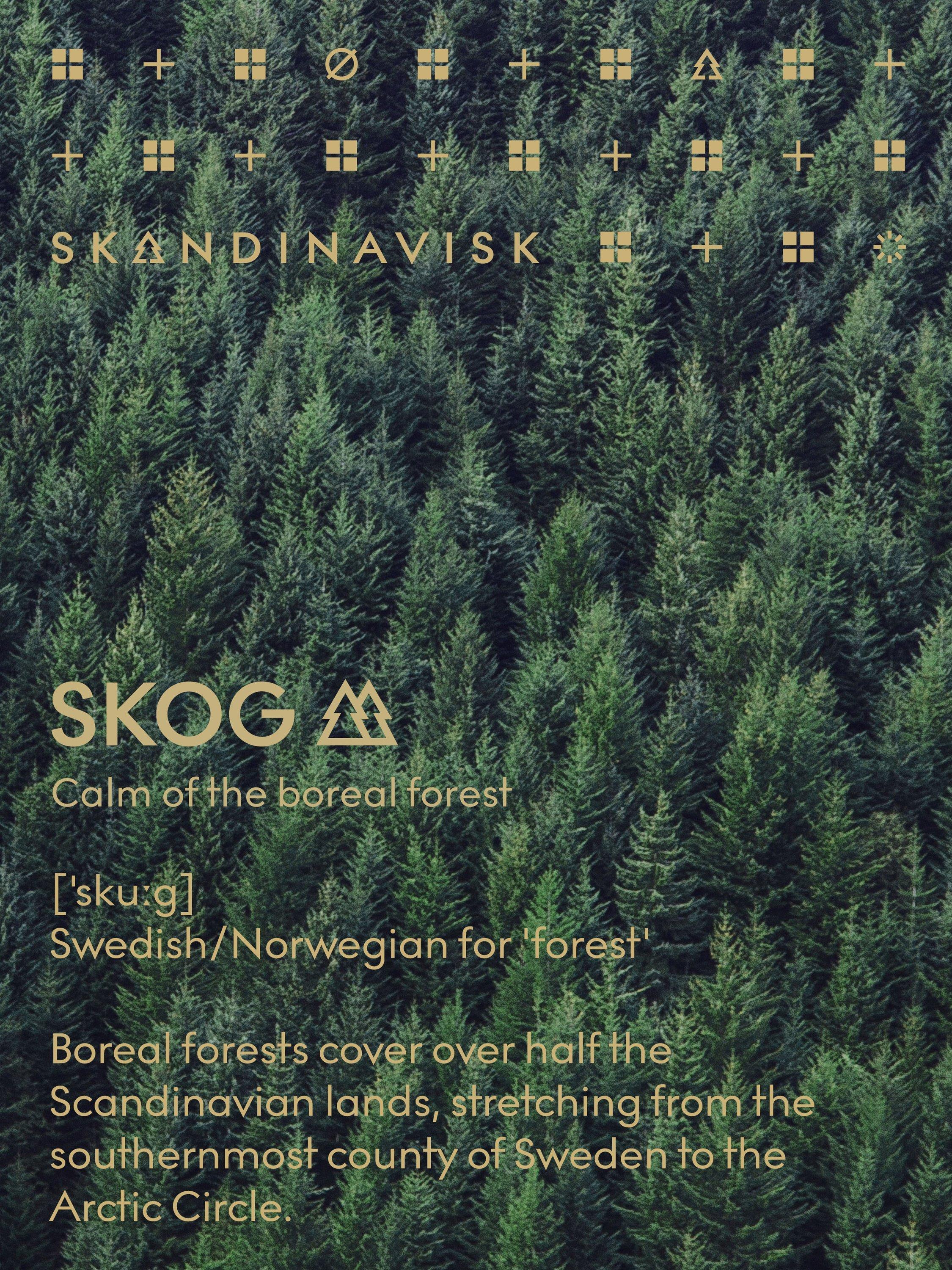 SKANDINAVISK Skog scented candle and hand cream gift set (British brand)