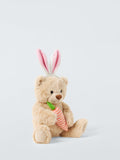 Easter Lewis Teddy Bear Plush Soft Toy 25Cm